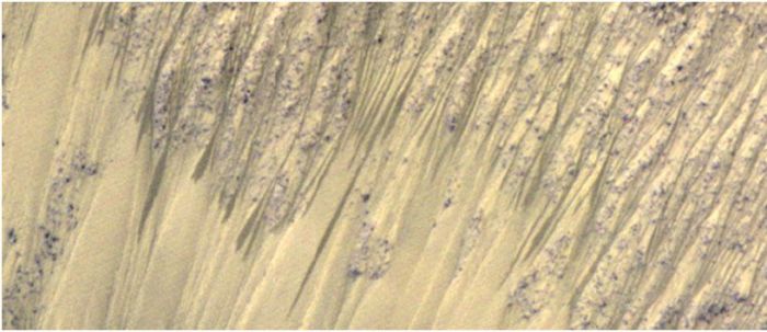 Recurring slope lineae (RSL) have been identifed and tracked across equatorial regions of Mars, and appear to be periodically "renewed". Their form and this renewal has led to speculation they are caused by outflows of water held underground on Mars