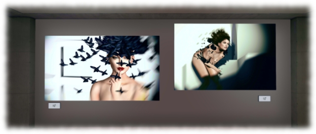 The Dixmix Art Gallery in Second Life®